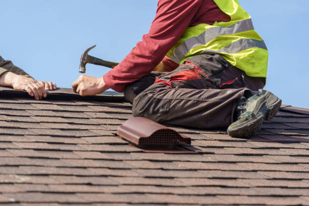 Best Roof Installation Near Me  in Hawkinsville, GA