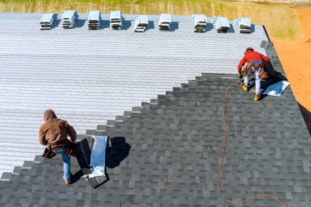 Best Local Roofing Companies  in Hawkinsville, GA