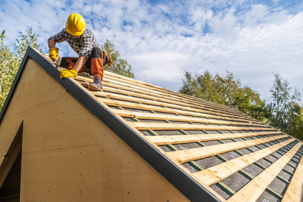 Best Roof Repair Services  in Hawkinsville, GA