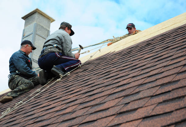 Best Roof Maintenance Services  in Hawkinsville, GA