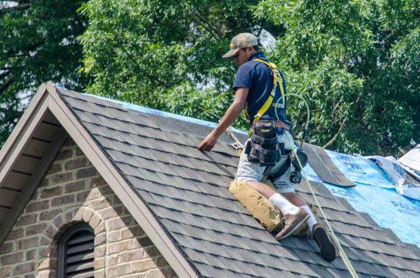 Best Metal Roofing Contractor  in Hawkinsville, GA